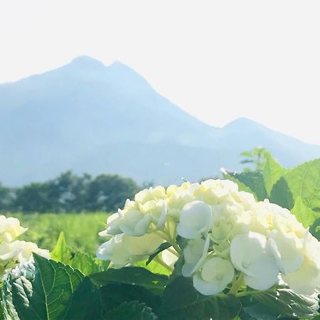 Yufuin Flora House Bed and Breakfast Εξωτερικό φωτογραφία