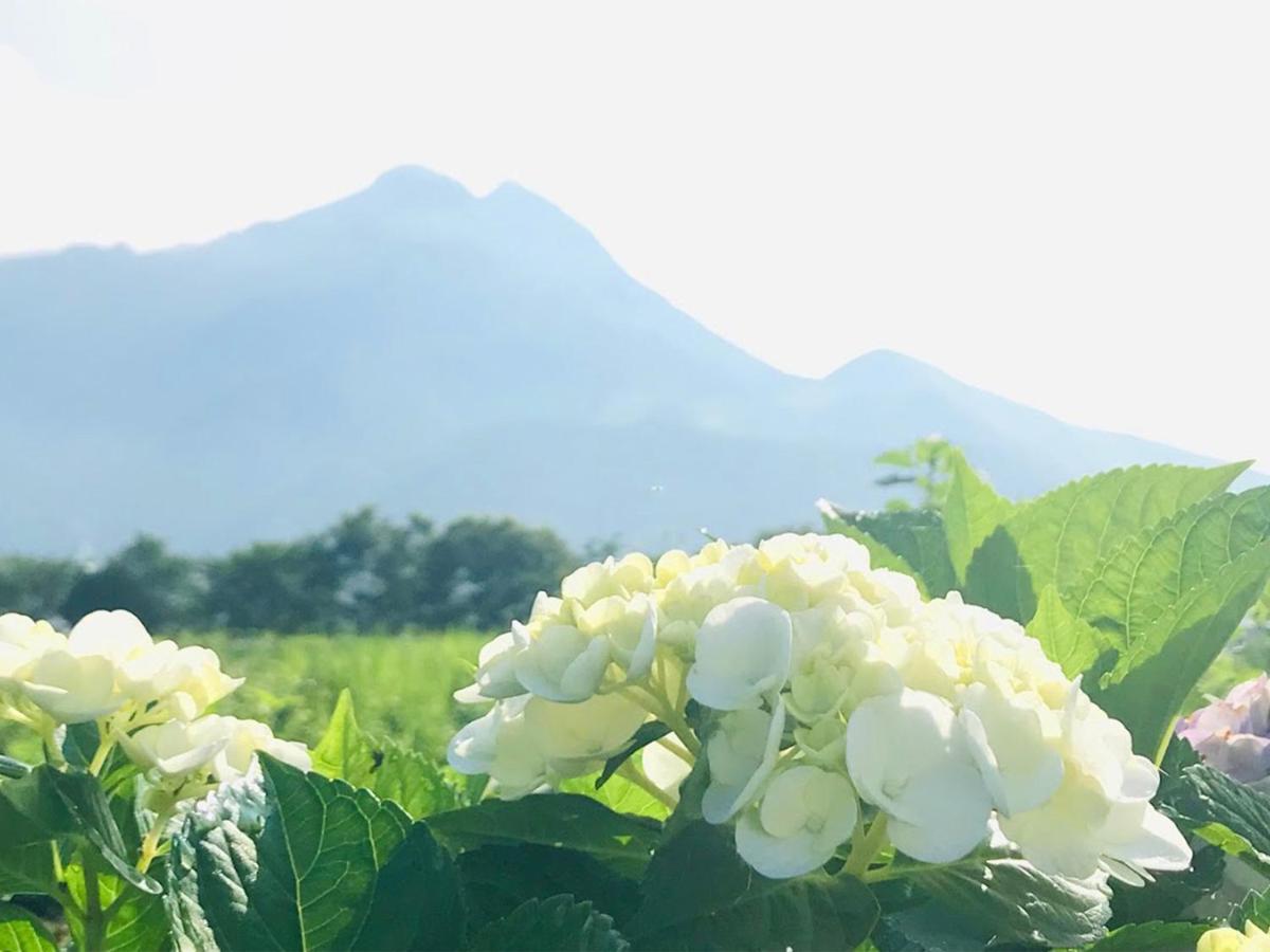 Yufuin Flora House Bed and Breakfast Εξωτερικό φωτογραφία